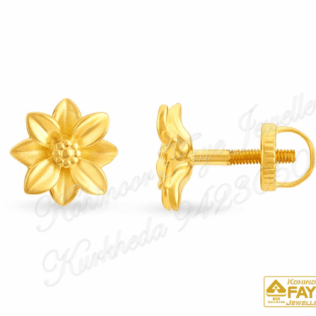 Gold Earrings 22K E2509